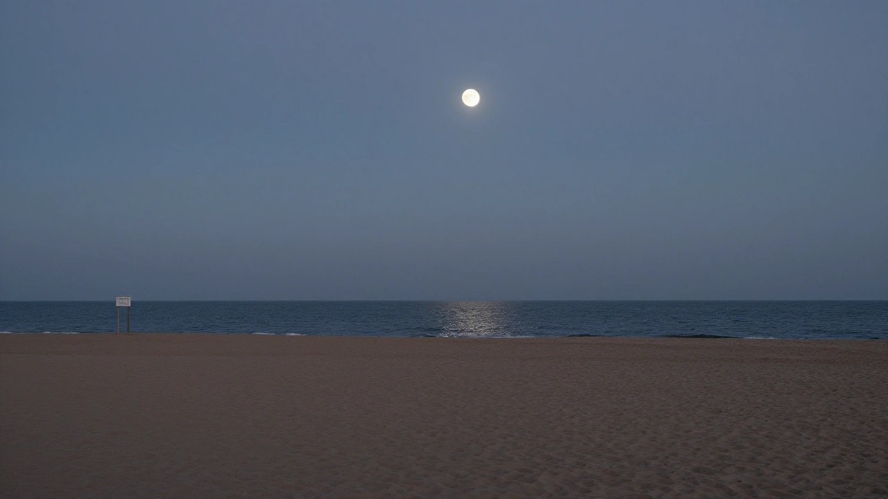 夜明け前の海と月のイメージ